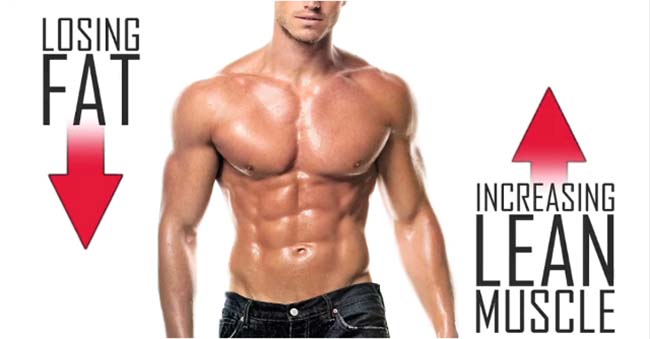 甚麼是增肌？增肌的原理是什麼？