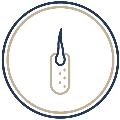 抑制毛囊殺手DHT